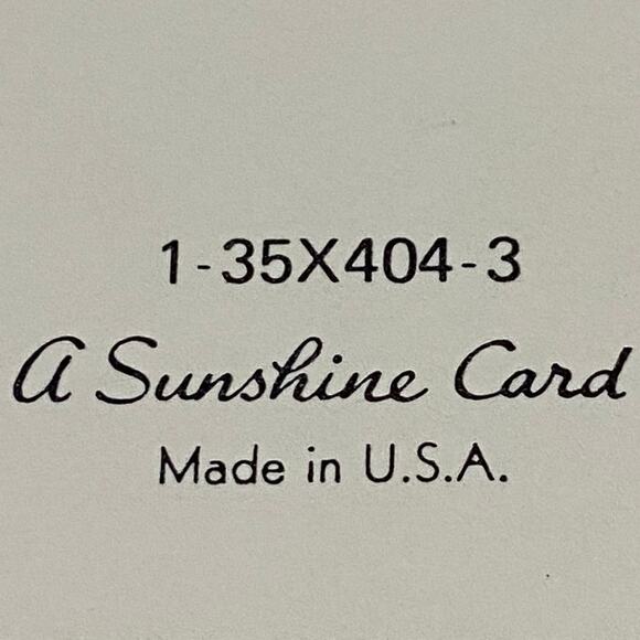 Lot 4 Vtg MCM Birthday Card USA 1970s Embossed Ornithologist Bird Winged Classic - Picture 14 of 16